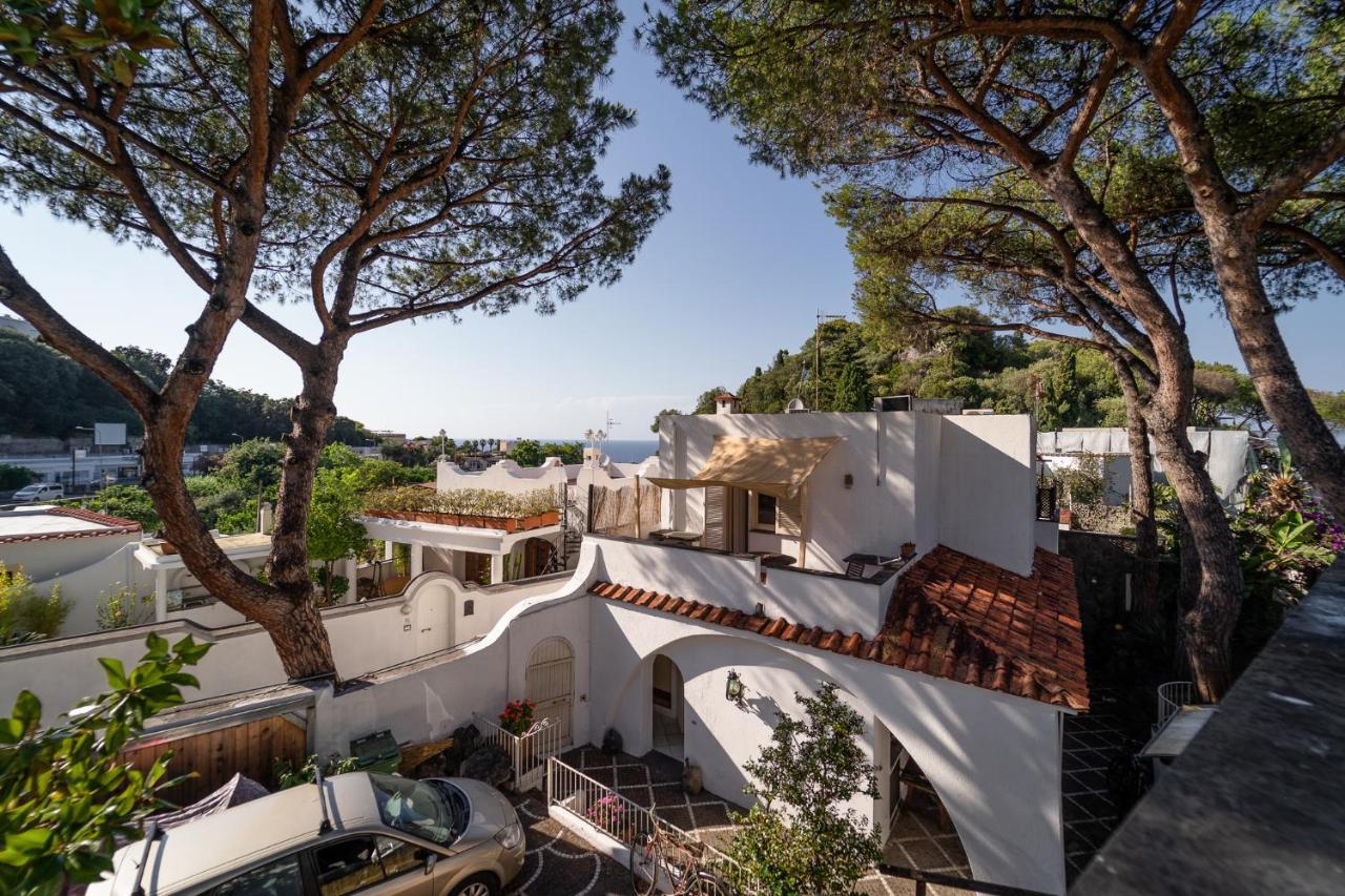 Bed & Breakfast Cinque Pini Casamicciola Terme
