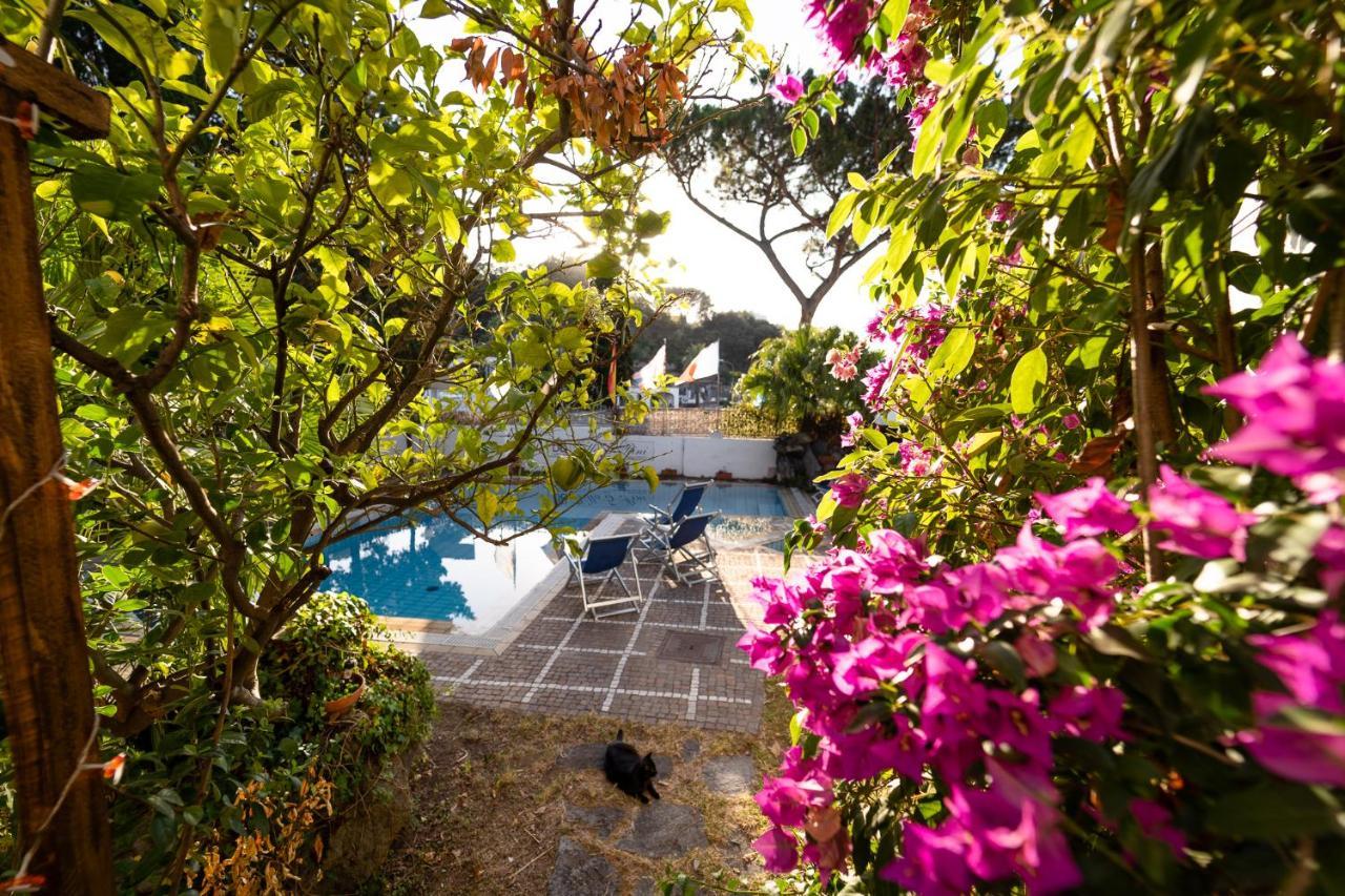 Bed & Breakfast Cinque Pini