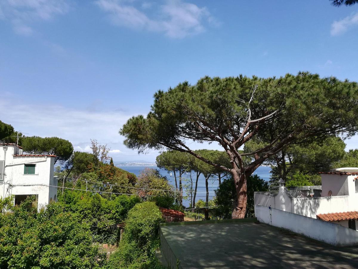 Bed & Breakfast Cinque Pini *