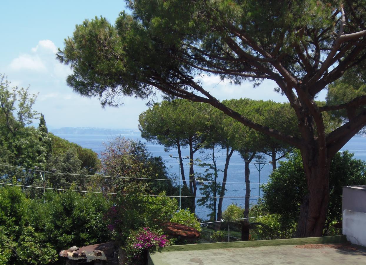 Cinque Pini Bed & Breakfast *